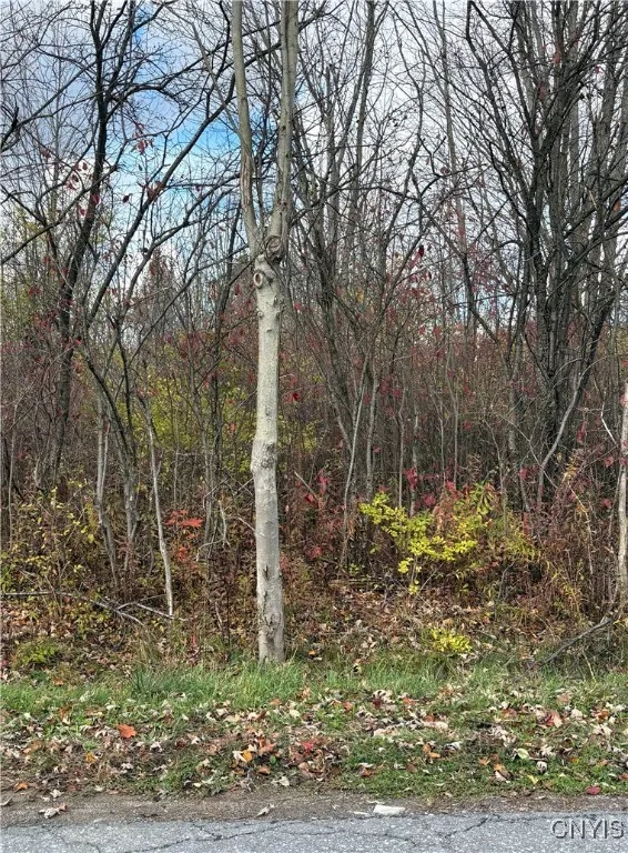 Hinds Rd - Lot 2 - Purple, Pamelia, New York 13601, Pamelia, New York 13601, ,Land,For Sale,Hinds Rd - Lot 2 - Purple, Pamelia, New York 13601,0,S1645267