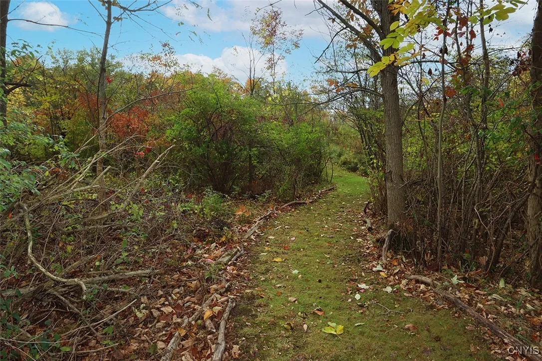 6 Brister Avenue, Auburn, New York 13021, Auburn, New York 13021, 3 Bedrooms Bedrooms, 9 Rooms Rooms,1 BathroomBathrooms,Residential,For Sale,6 Brister Avenue, Auburn, New York 13021,0,S1645443