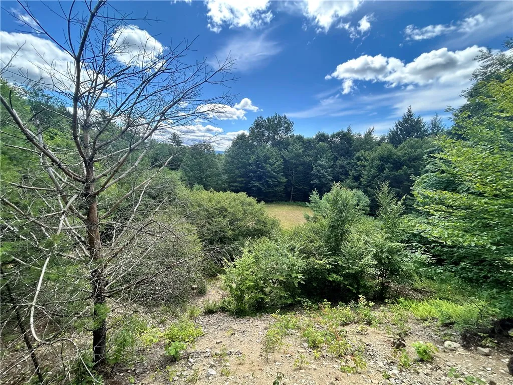 270 Collins Gifford Valley Road, Northampton, New, Northampton, New York 12134, ,Land,For Sale,270 Collins Gifford Valley Road, Northampton, New ,0,R1646828