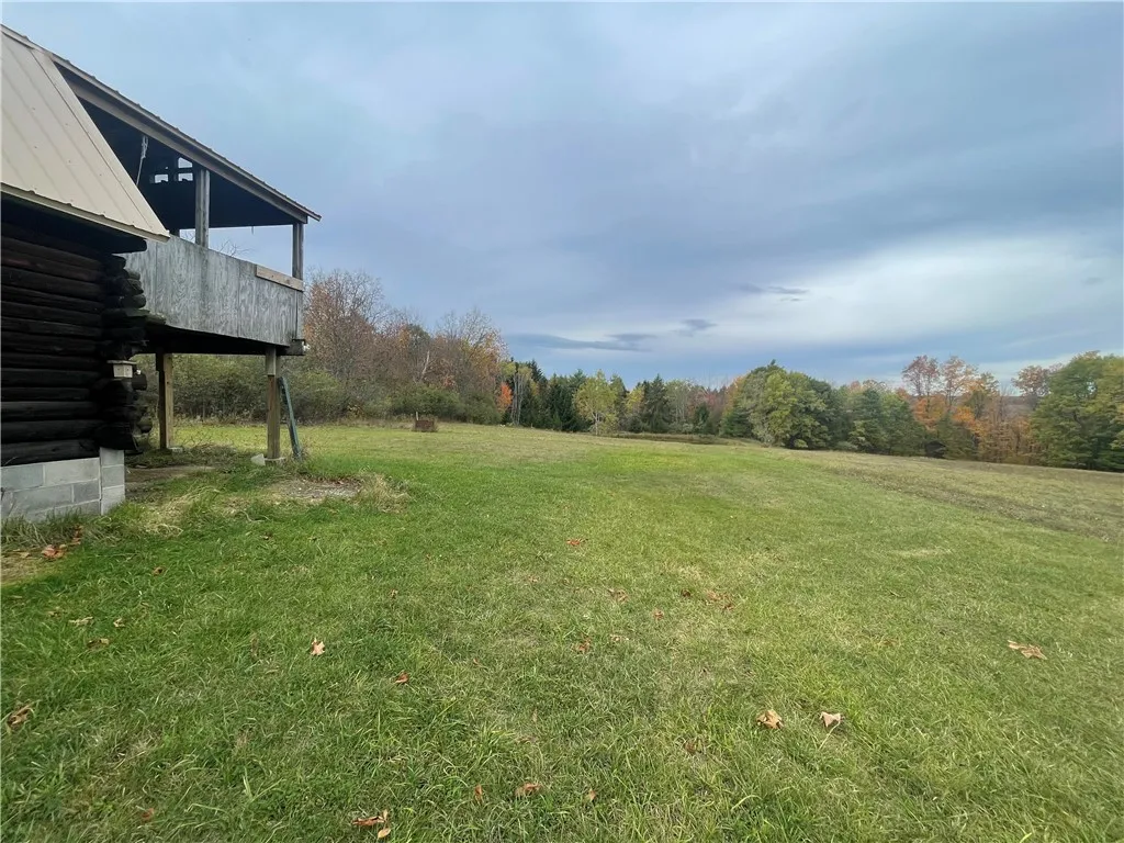 5101 Losey Hill Road, Tyrone, New York 14837, Tyrone, New York 14837, 1 Bedroom Bedrooms, ,1 BathroomBathrooms,Land,For Sale,5101 Losey Hill Road, Tyrone, New York 14837,0,R1646883