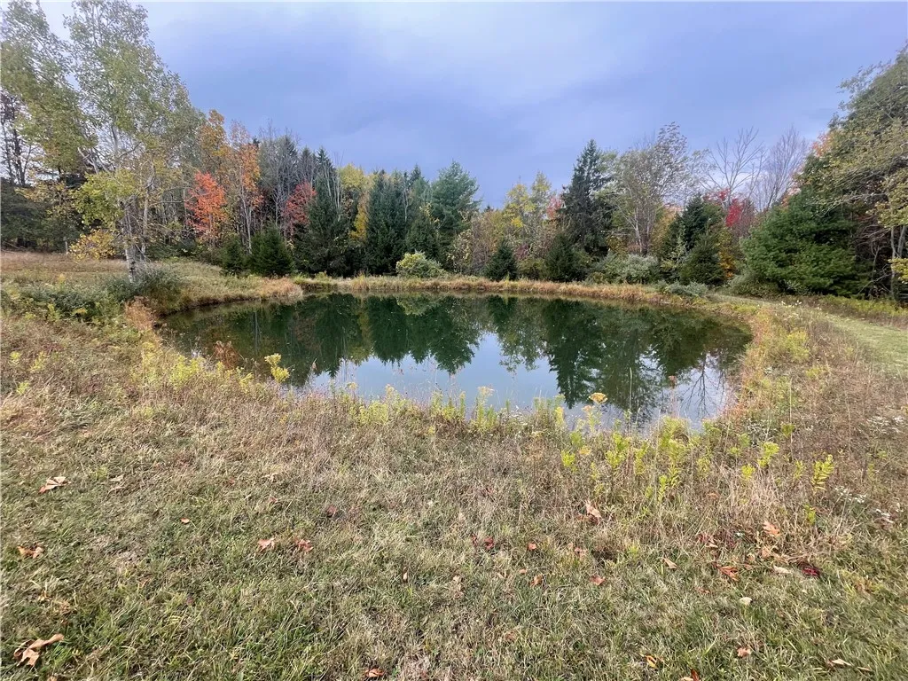 5101 Losey Hill Road, Tyrone, New York 14837, Tyrone, New York 14837, 1 Bedroom Bedrooms, ,1 BathroomBathrooms,Land,For Sale,5101 Losey Hill Road, Tyrone, New York 14837,0,R1646883