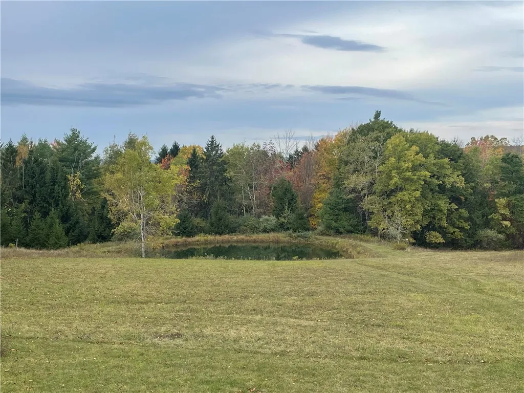 5101 Losey Hill Road, Tyrone, New York 14837, Tyrone, New York 14837, 1 Bedroom Bedrooms, ,1 BathroomBathrooms,Land,For Sale,5101 Losey Hill Road, Tyrone, New York 14837,0,R1646883