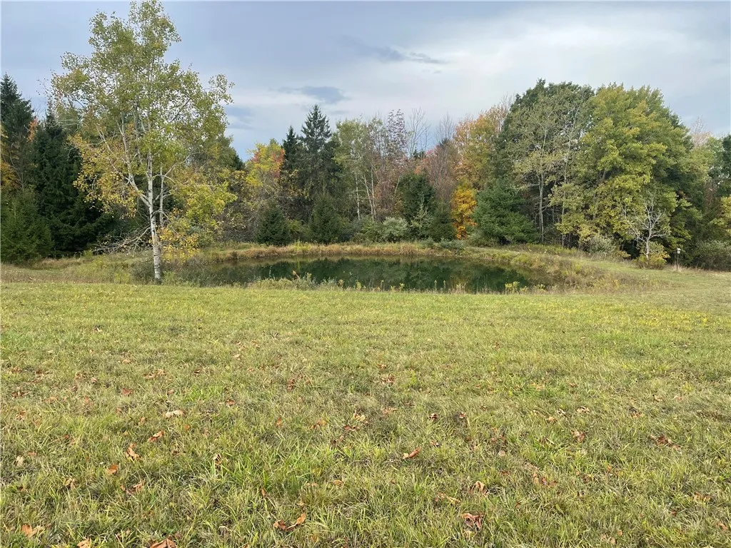 5101 Losey Hill Road, Tyrone, New York 14837, Tyrone, New York 14837, 1 Bedroom Bedrooms, ,1 BathroomBathrooms,Land,For Sale,5101 Losey Hill Road, Tyrone, New York 14837,0,R1646883