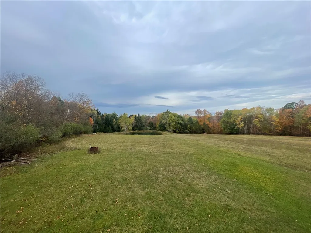 5101 Losey Hill Road, Tyrone, New York 14837, Tyrone, New York 14837, 1 Bedroom Bedrooms, ,1 BathroomBathrooms,Land,For Sale,5101 Losey Hill Road, Tyrone, New York 14837,0,R1646883