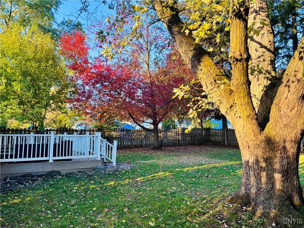 backyard fully fenced