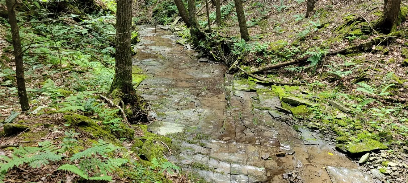 Hagerman, Chemung, New York 14892, Chemung, New York 14892, ,Land,For Sale,Hagerman, Chemung, New York 14892,0,R1646979