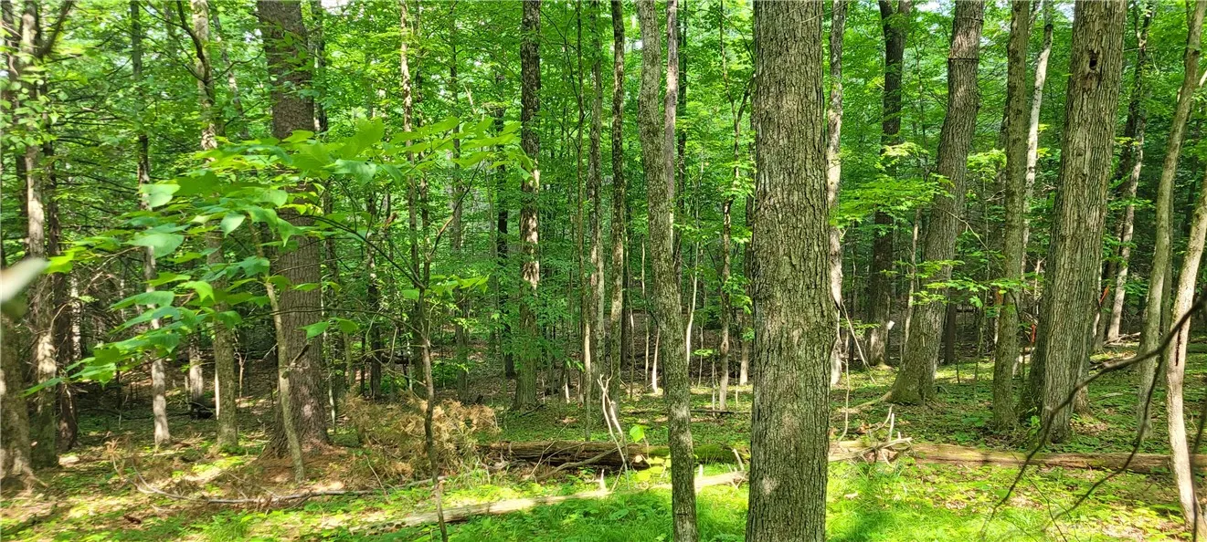 Hagerman, Chemung, New York 14892, Chemung, New York 14892, ,Land,For Sale,Hagerman, Chemung, New York 14892,0,R1646979