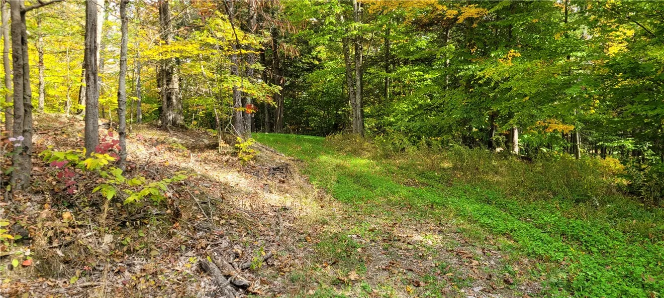 Hagerman, Chemung, New York 14892, Chemung, New York 14892, ,Land,For Sale,Hagerman, Chemung, New York 14892,0,R1646979