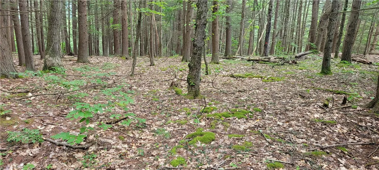 Hagerman, Chemung, New York 14892, Chemung, New York 14892, ,Land,For Sale,Hagerman, Chemung, New York 14892,0,R1646979