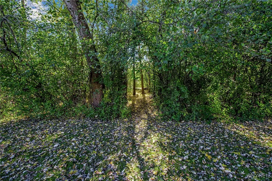 2160 Bullis Road, Elma, New York 14059, Elma, New York 14059, 2 Bedrooms Bedrooms, 8 Rooms Rooms,1 BathroomBathrooms,Residential,For Sale,2160 Bullis Road, Elma, New York 14059,0,B1646821