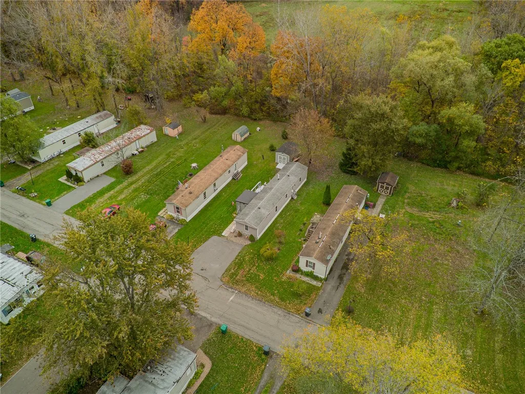 Lots of woods behind 188 Cortland