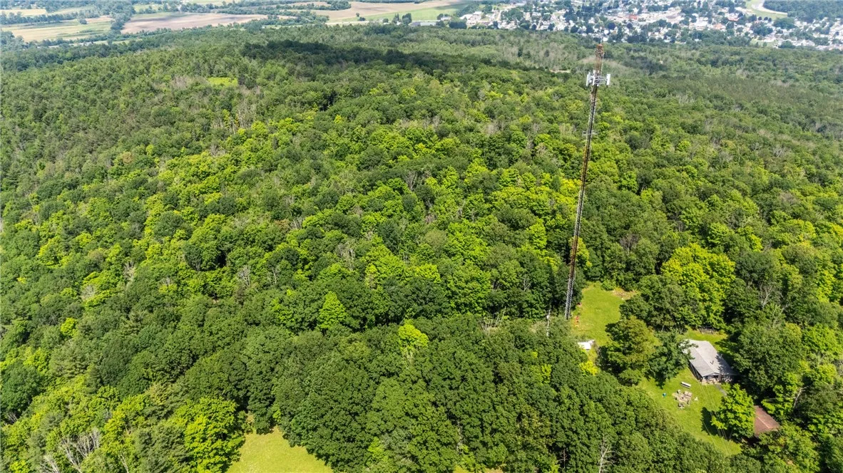 Aerial view of the property. To the Left of the road and above the tower in this photo. Road runs between the cabin and Tower.