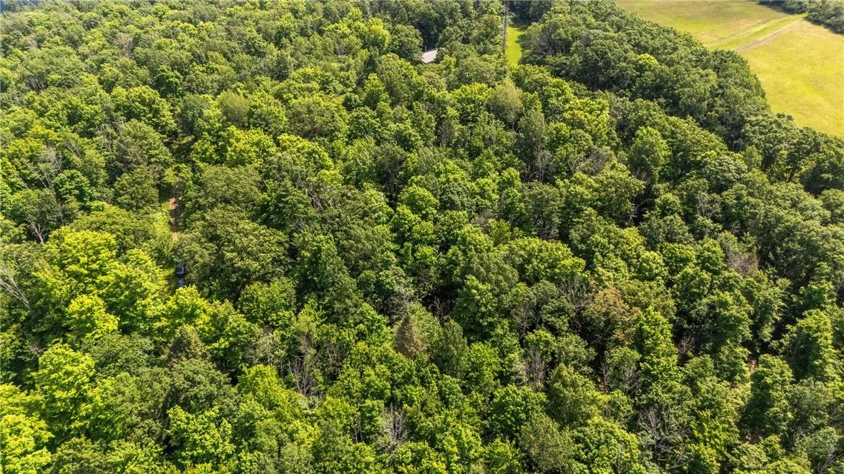 1910 Brush Road, Hartsville, New York 14843, Hartsville, New York 14843, 1 Bedroom Bedrooms, ,Land,For Sale,1910 Brush Road, Hartsville, New York 14843,0,R1647086