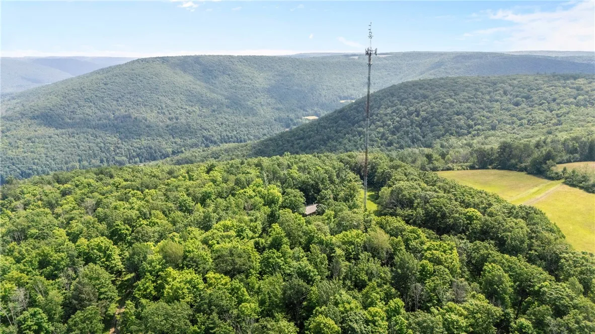 The tower is included in the sale