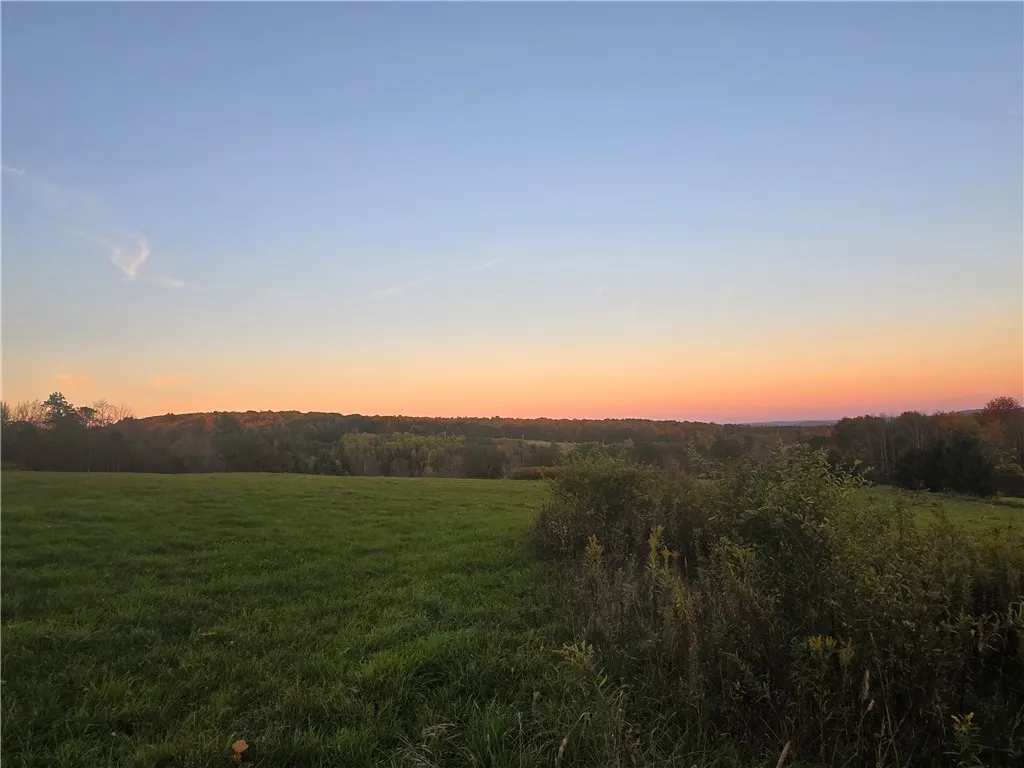 Hardknocks Road, Unadilla, New York 13849, Unadilla, New York 13849, ,Land,For Sale,Hardknocks Road, Unadilla, New York 13849,0,R1647239