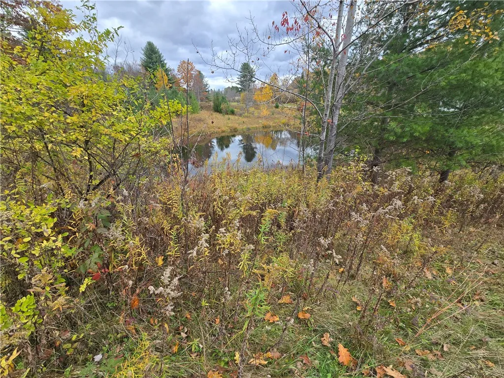 Hardknocks Road, Unadilla, New York 13849, Unadilla, New York 13849, ,Land,For Sale,Hardknocks Road, Unadilla, New York 13849,0,R1647239