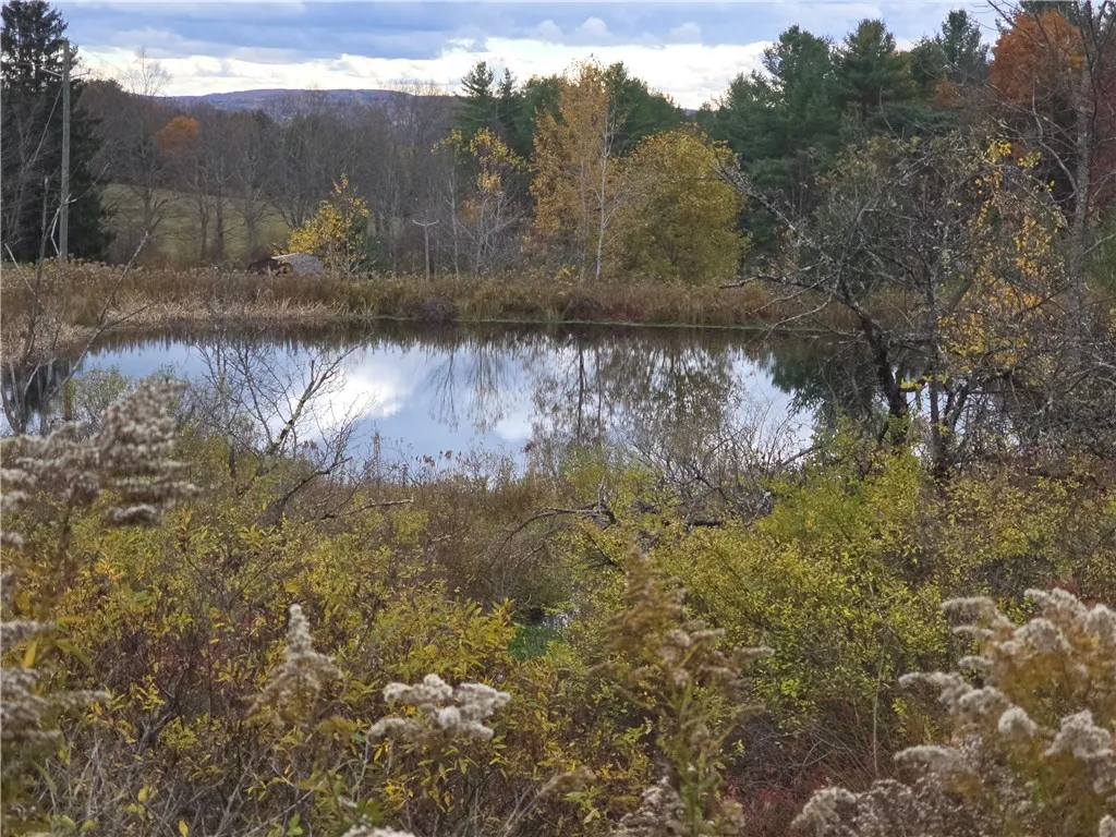 Hardknocks Road, Unadilla, New York 13849, Unadilla, New York 13849, ,Land,For Sale,Hardknocks Road, Unadilla, New York 13849,0,R1647239