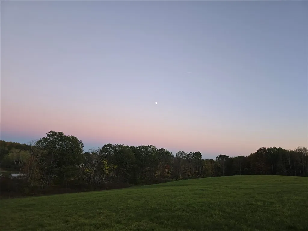 Hardknocks Road, Unadilla, New York 13849, Unadilla, New York 13849, ,Land,For Sale,Hardknocks Road, Unadilla, New York 13849,0,R1647239