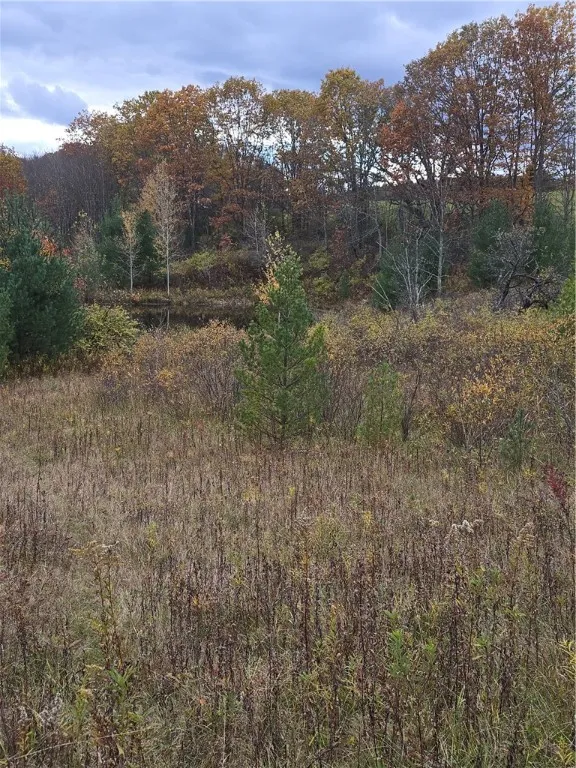 Hardknocks Road, Unadilla, New York 13849, Unadilla, New York 13849, ,Land,For Sale,Hardknocks Road, Unadilla, New York 13849,0,R1647239