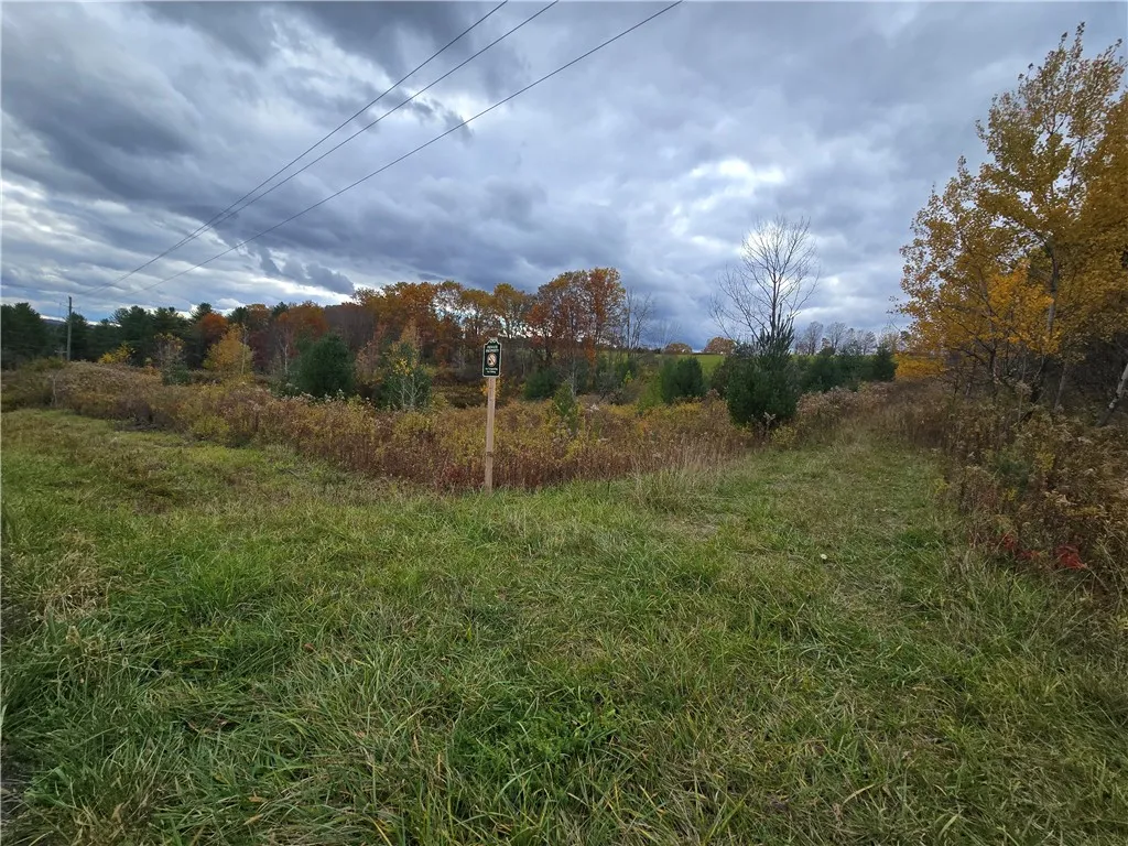 Hardknocks Road, Unadilla, New York 13849, Unadilla, New York 13849, ,Land,For Sale,Hardknocks Road, Unadilla, New York 13849,0,R1647239