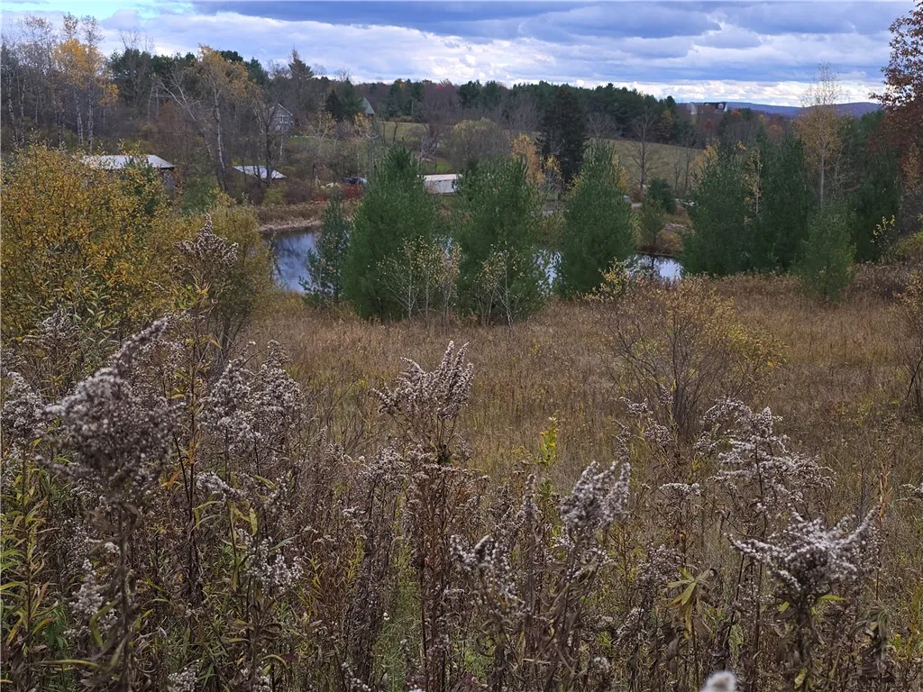 Hardknocks Road, Unadilla, New York 13849, Unadilla, New York 13849, ,Land,For Sale,Hardknocks Road, Unadilla, New York 13849,0,R1647239