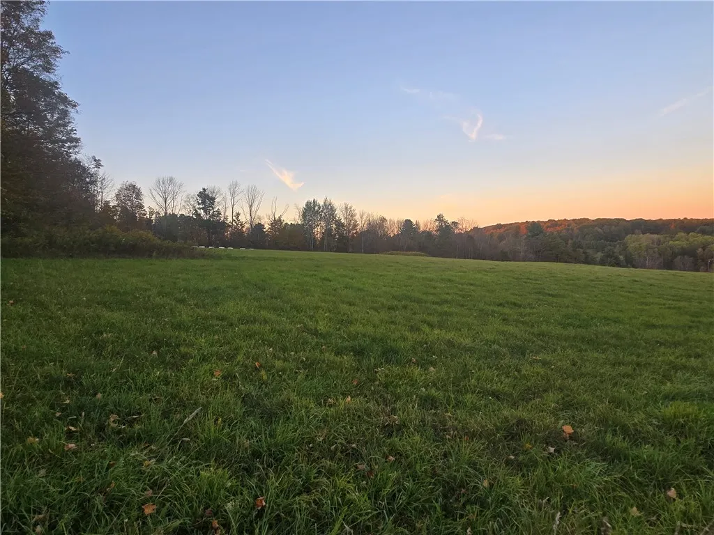 Hardknocks Road, Unadilla, New York 13849, Unadilla, New York 13849, ,Land,For Sale,Hardknocks Road, Unadilla, New York 13849,0,R1647239