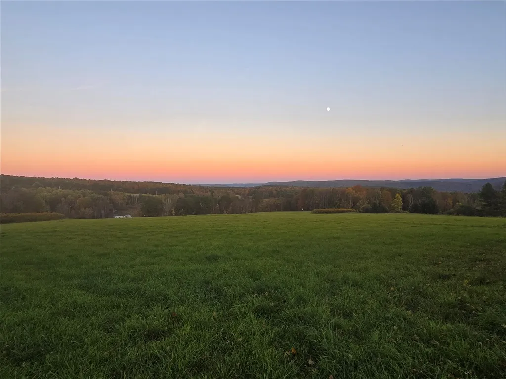 Hardknocks Road, Unadilla, New York 13849, Unadilla, New York 13849, ,Land,For Sale,Hardknocks Road, Unadilla, New York 13849,0,R1647239