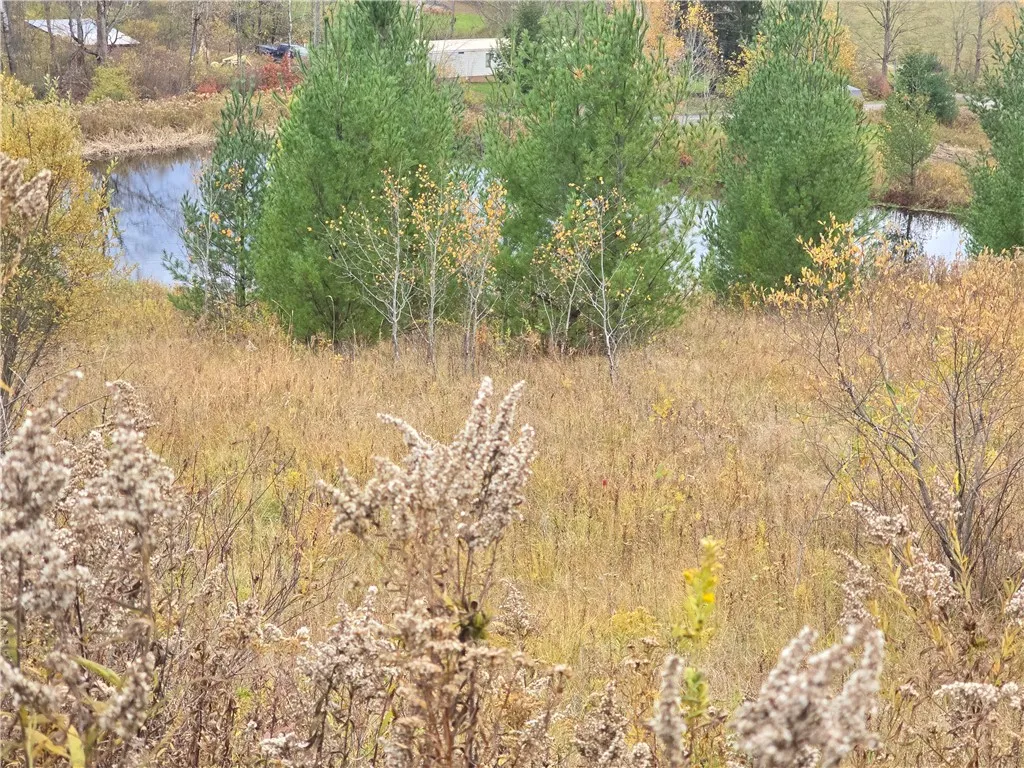 Hardknocks Road, Unadilla, New York 13849, Unadilla, New York 13849, ,Land,For Sale,Hardknocks Road, Unadilla, New York 13849,0,R1647239