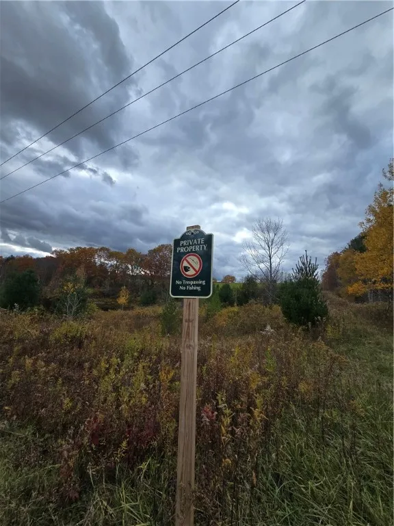 Hardknocks Road, Unadilla, New York 13849, Unadilla, New York 13849, ,Land,For Sale,Hardknocks Road, Unadilla, New York 13849,0,R1647239