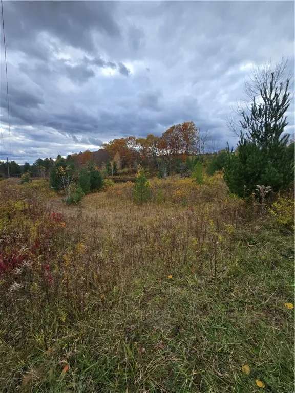 Hardknocks Road, Unadilla, New York 13849, Unadilla, New York 13849, ,Land,For Sale,Hardknocks Road, Unadilla, New York 13849,0,R1647239