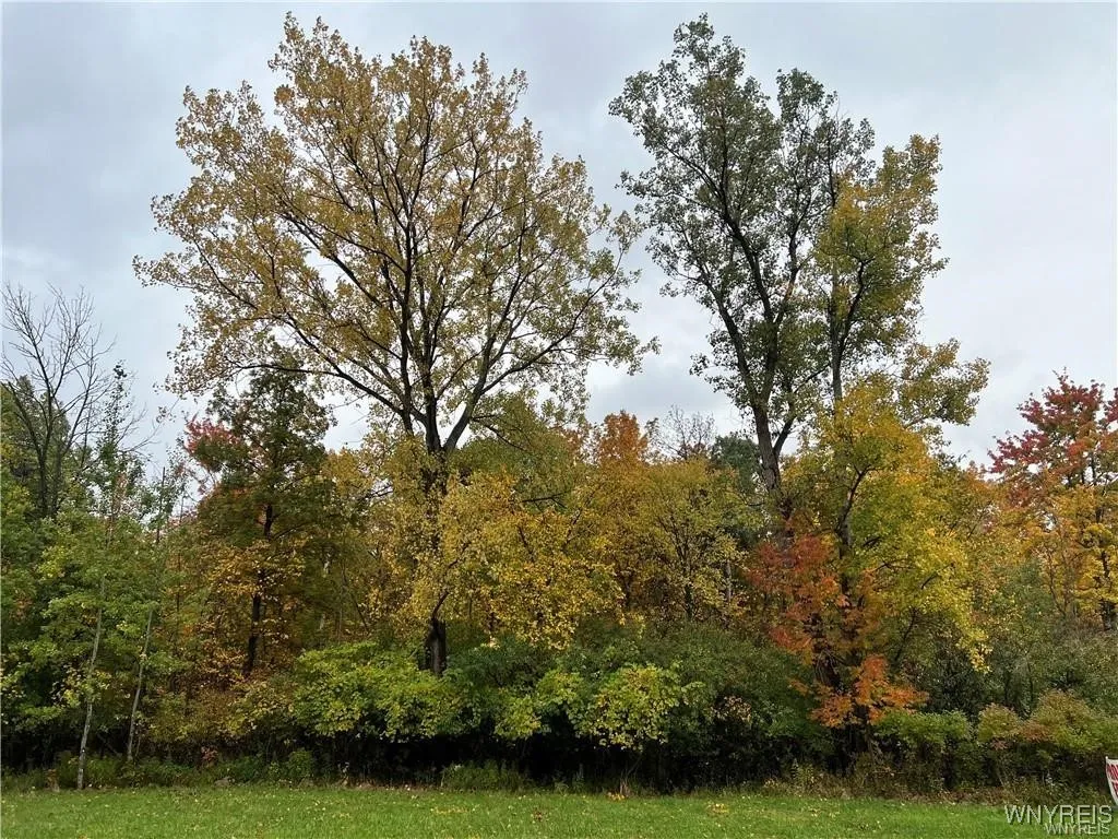 Vl Milestrip Road, Hamburg, New York 14219, Hamburg, New York 14219, ,Land,For Sale,Vl Milestrip Road, Hamburg, New York 14219,0,B1647269