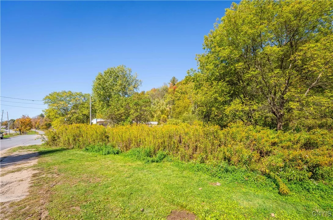 Main Street North, Trenton, New York 13352, Trenton, New York 13352, ,Land,For Sale,Main Street North, Trenton, New York 13352,0,S1642282