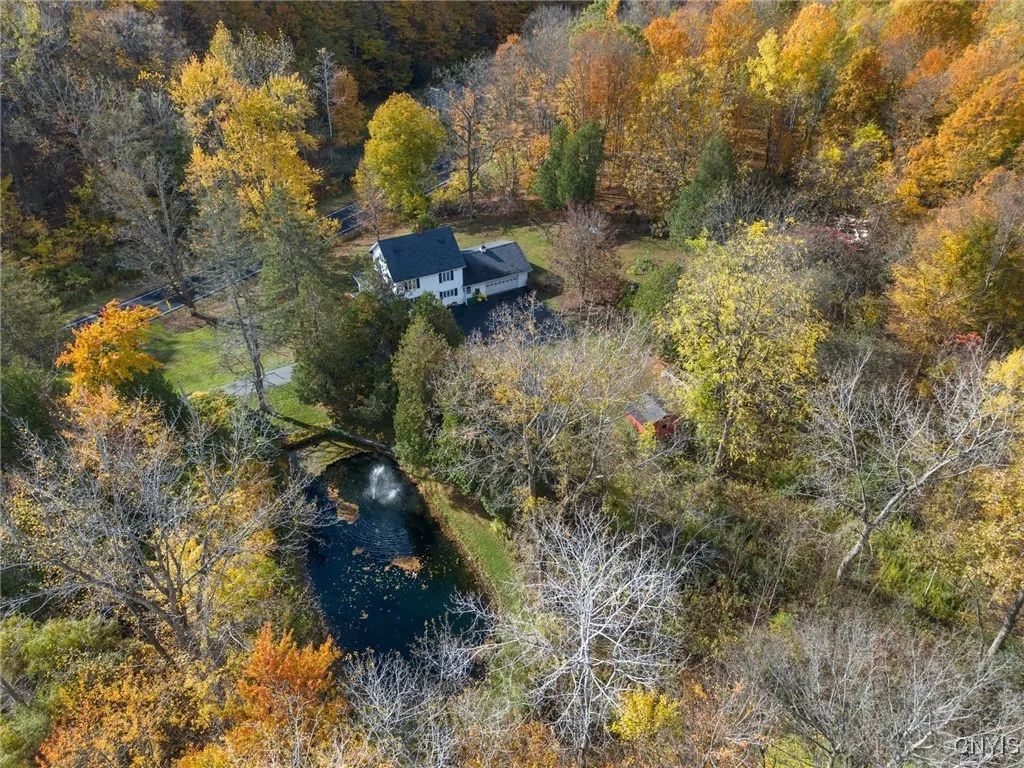 POND / HOME ALL SURROUNDED BY NATURE