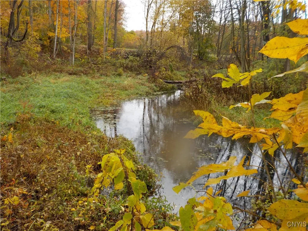 12095 Broadway Road, Victory, New York 13033, Victory, New York 13033, 5 Bedrooms Bedrooms, 10 Rooms Rooms,2 BathroomsBathrooms,Residential,For Sale,12095 Broadway Road, Victory, New York 13033,0,S1647423