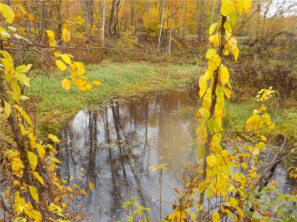 12095 Broadway Road, Victory, New York 13033, Victory, New York 13033, 5 Bedrooms Bedrooms, 10 Rooms Rooms,2 BathroomsBathrooms,Residential,For Sale,12095 Broadway Road, Victory, New York 13033,0,S1647423