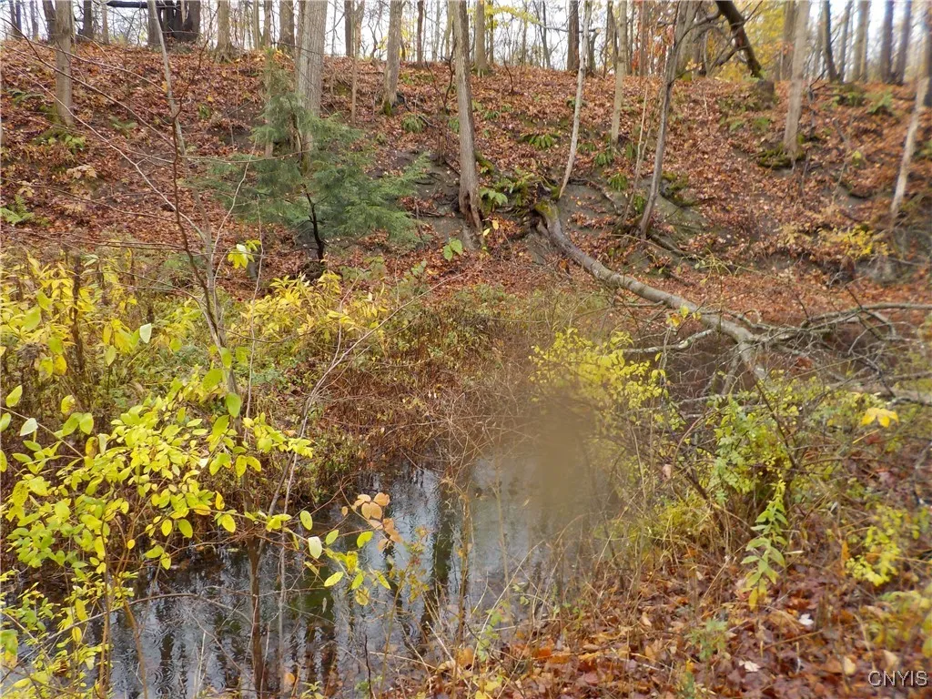 12095 Broadway Road, Victory, New York 13033, Victory, New York 13033, 5 Bedrooms Bedrooms, 10 Rooms Rooms,2 BathroomsBathrooms,Residential,For Sale,12095 Broadway Road, Victory, New York 13033,0,S1647423