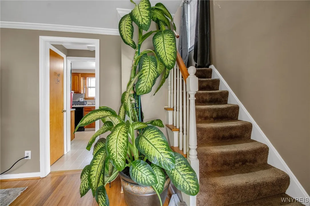480 Moore Avenue, Tonawanda, New York 14223, Tonawanda, New York 14223, 3 Bedrooms Bedrooms, 6 Rooms Rooms,1 BathroomBathrooms,Residential,For Sale,480 Moore Avenue, Tonawanda, New York 14223,0,B1647469