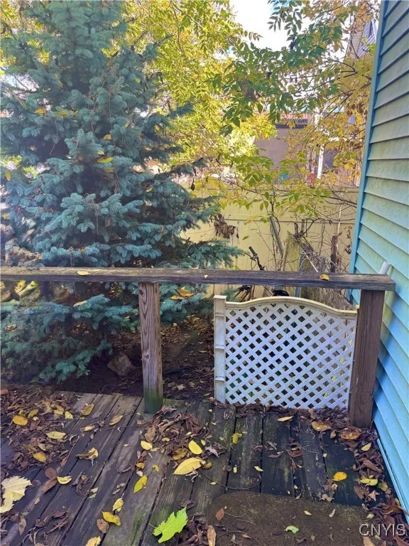 lower floor back deck