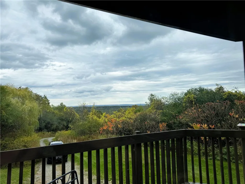 view from front window