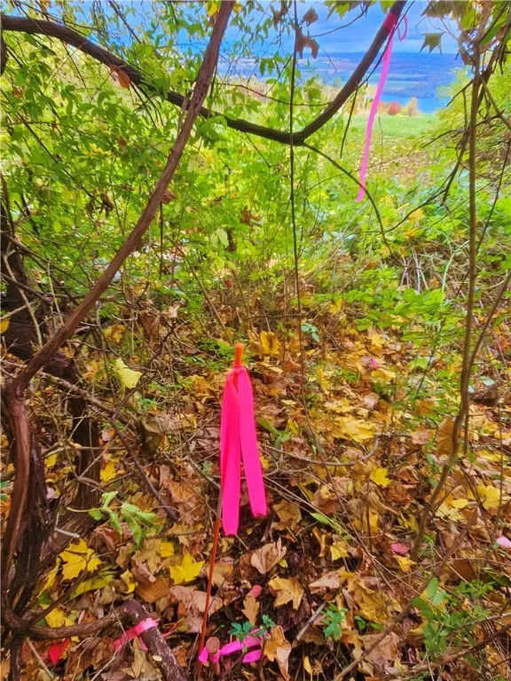 5506 Nys Route 14, Starkey, New York 14837, Starkey, New York 14837, ,Land,For Sale,5506 Nys Route 14, Starkey, New York 14837,0,R1647158