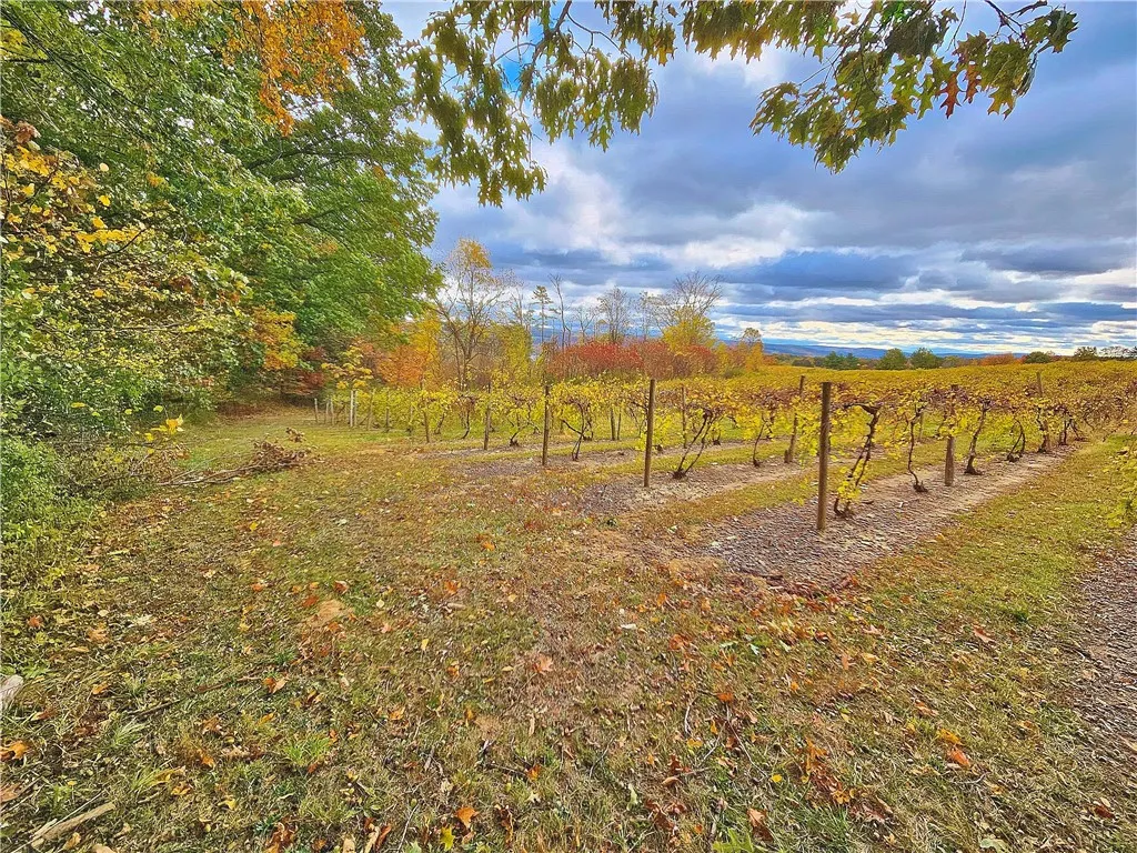 5506 Nys Route 14, Starkey, New York 14837, Starkey, New York 14837, ,Land,For Sale,5506 Nys Route 14, Starkey, New York 14837,0,R1647158