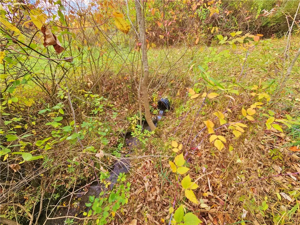 5506 Nys Route 14, Starkey, New York 14837, Starkey, New York 14837, ,Land,For Sale,5506 Nys Route 14, Starkey, New York 14837,0,R1647158