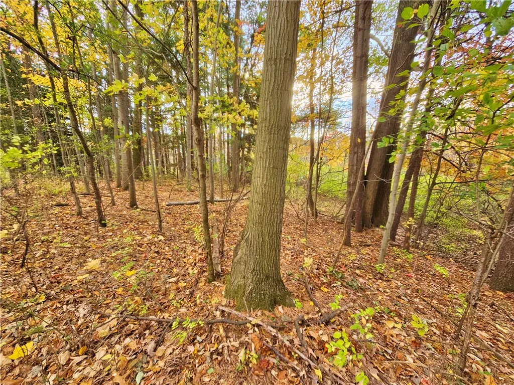 5506 Nys Route 14, Starkey, New York 14837, Starkey, New York 14837, ,Land,For Sale,5506 Nys Route 14, Starkey, New York 14837,0,R1647158