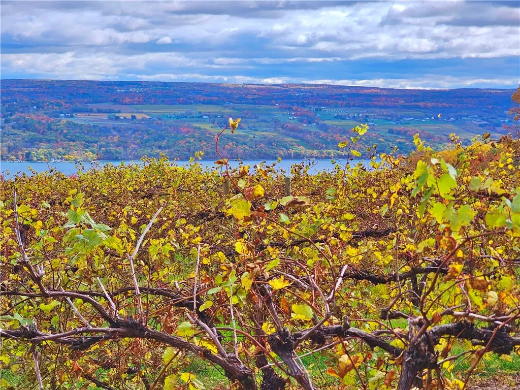 5506 Nys Route 14, Starkey, New York 14837, Starkey, New York 14837, ,Land,For Sale,5506 Nys Route 14, Starkey, New York 14837,0,R1647158