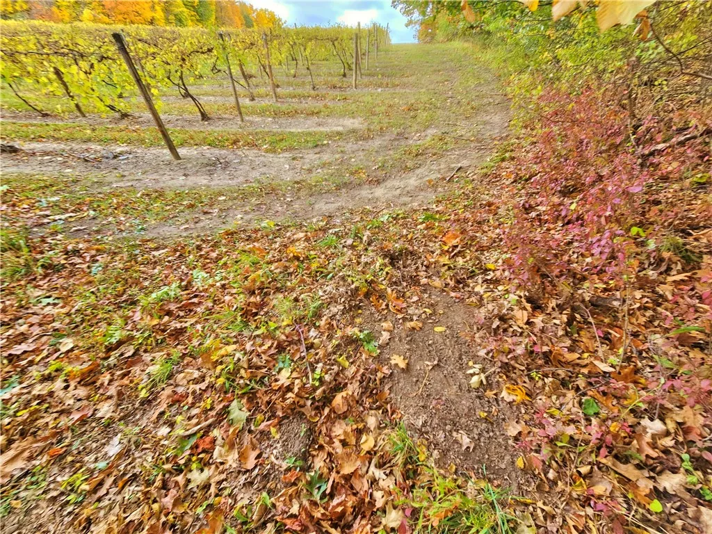 5506 Nys Route 14, Starkey, New York 14837, Starkey, New York 14837, ,Land,For Sale,5506 Nys Route 14, Starkey, New York 14837,0,R1647158