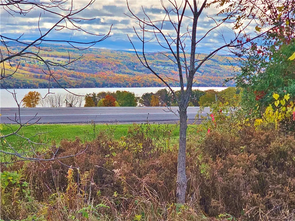 5506 Nys Route 14, Starkey, New York 14837, Starkey, New York 14837, ,Land,For Sale,5506 Nys Route 14, Starkey, New York 14837,0,R1647158