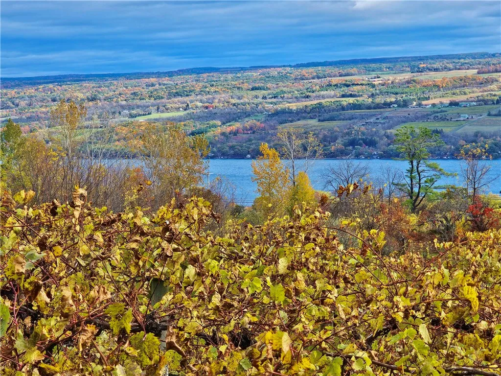 5506 Nys Route 14, Starkey, New York 14837, Starkey, New York 14837, ,Land,For Sale,5506 Nys Route 14, Starkey, New York 14837,0,R1647158