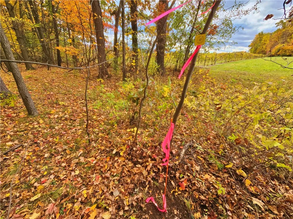 5506 Nys Route 14, Starkey, New York 14837, Starkey, New York 14837, ,Land,For Sale,5506 Nys Route 14, Starkey, New York 14837,0,R1647158