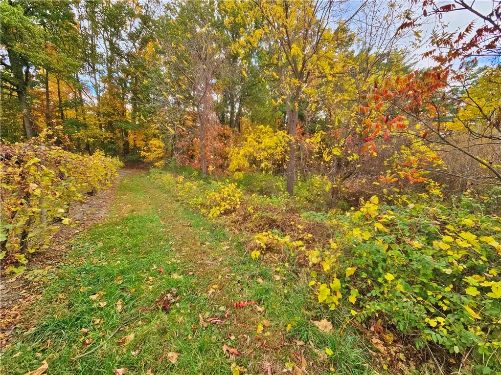 5506 Nys Route 14, Starkey, New York 14837, Starkey, New York 14837, ,Land,For Sale,5506 Nys Route 14, Starkey, New York 14837,0,R1647158