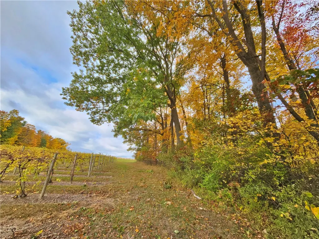 5506 Nys Route 14, Starkey, New York 14837, Starkey, New York 14837, ,Land,For Sale,5506 Nys Route 14, Starkey, New York 14837,0,R1647158